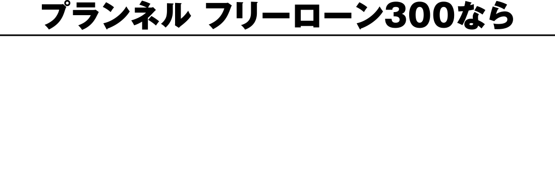 プランネルフリーローン300なら申込から契約まで全部スマホで手続き完了!!